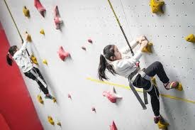 王韫婧赢得1.40米大奖赛！第27届金伯乐杯马术场地障碍赛圆满落幕